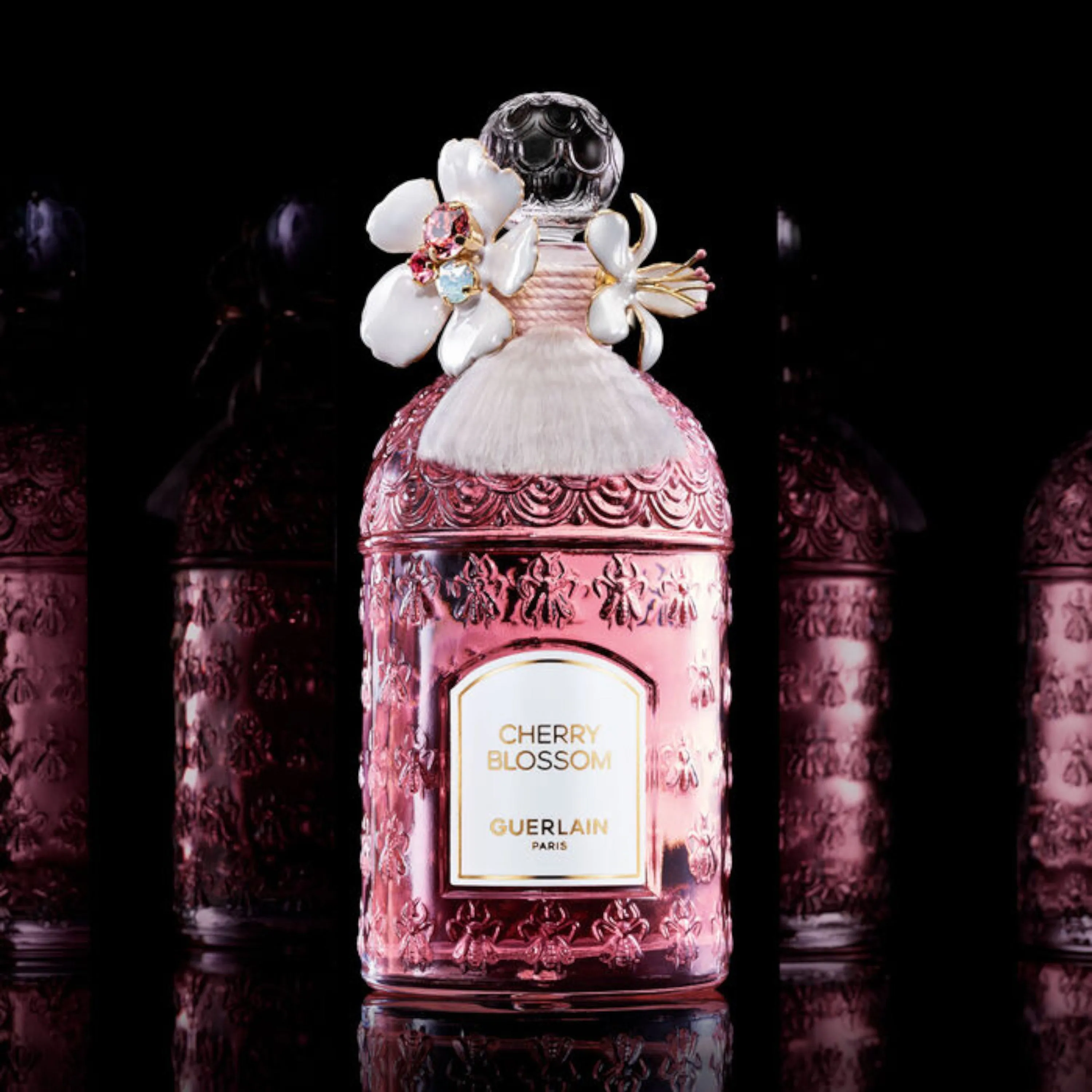 Cherry Blossom