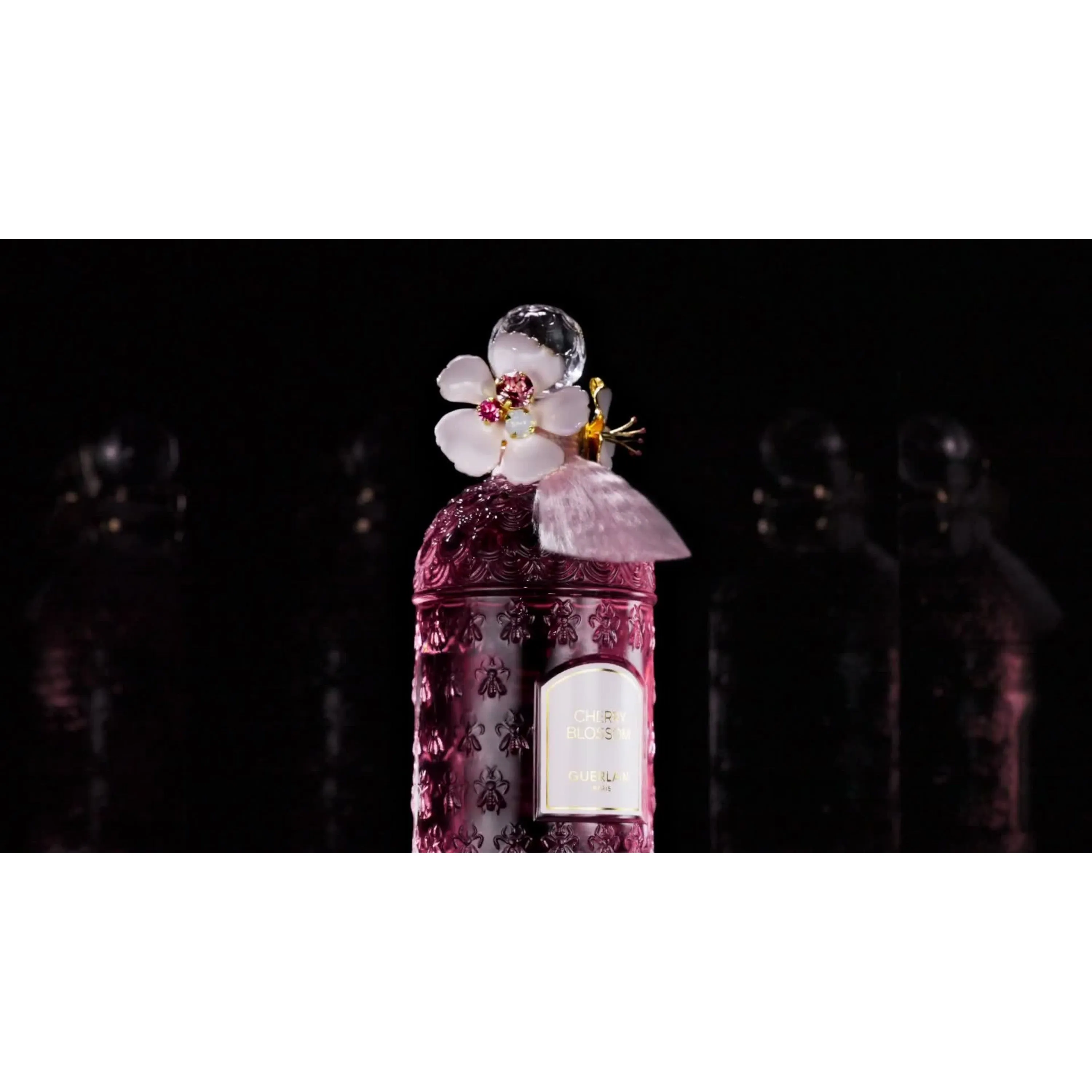 Cherry Blossom